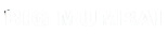 big Mumbai Logo